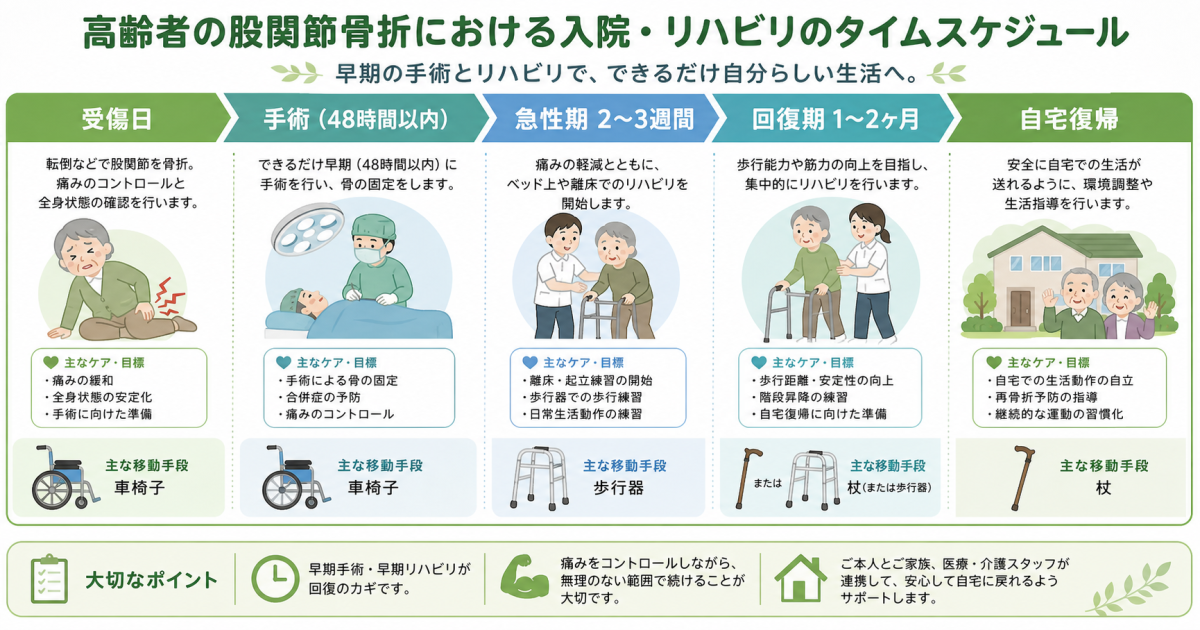 高齢者に多い股関節骨折（大腿骨骨折）とは？種類と治療法の選択基準